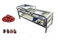 Multifunction Automatic Dates Sorting And Grading Machine With 2000kg/h Dates Process Machinery supplier